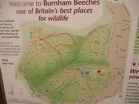 burnham beeches map | Flickr - Photo Sharing!