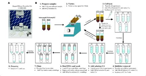 | The modified procedure of DNA extraction method. (A) The Qiagen... | Download Scientific Diagram