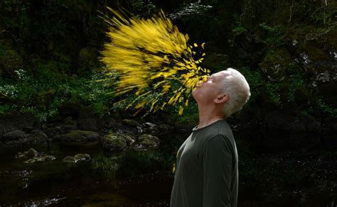 Andy Goldsworthy's Ephemeral Art and Laborious Process, in a New Documentary | Andy goldsworthy ...