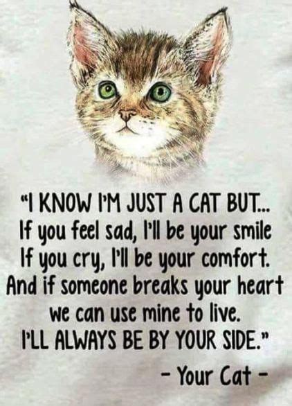 sweet cat quotes #catsandkittens | Cat quotes, Funny animal quotes ...