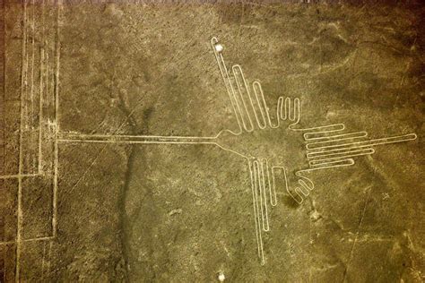 Nazca Lines Hummingbird