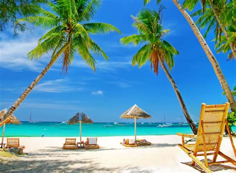 Download A Beach With Chairs And Palm Trees | Wallpapers.com