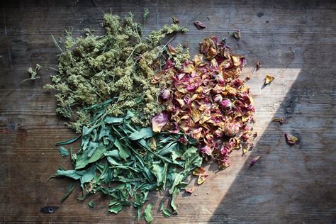 How to Store Dried Herbs: Tips to Ensure they Last Longer — Meadowlark Journal