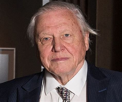 David Attenborough Biography - Childhood, Life Achievements & Timeline