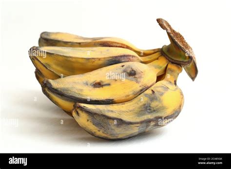 cardava banana (also known as saba banana) isolated on white background Stock Photo - Alamy