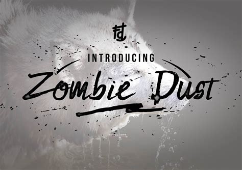 Zombie Dust | Fonts ~ Creative Market