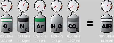 What Is Dalton's Law of Partial Pressures?