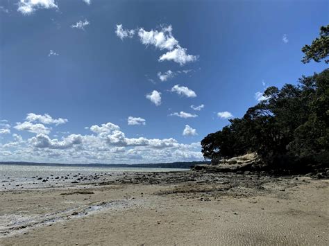 The Best Beaches in Auckland, New Zealand