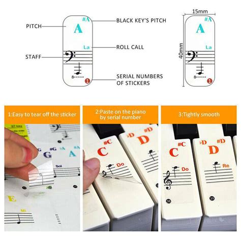 Keyboard notes Sticker 88/61/54/49/37 keys Piano Sticker Transpare P5 | eBay