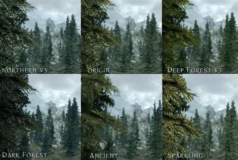 Skyrim Graphic Overhaul - damerlazy