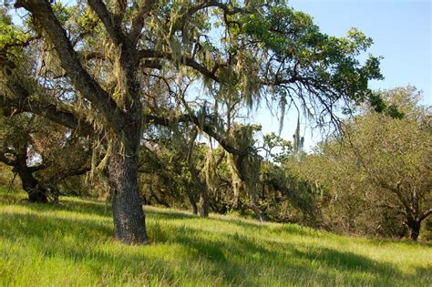 Sweetwater Trail – Cachuma Lake, California | Brian's hikes