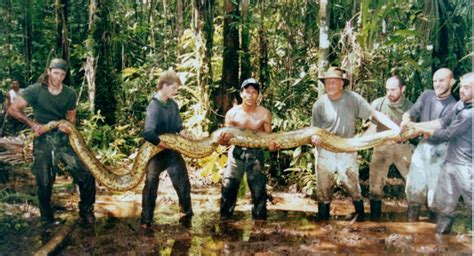 Amazon Explorer: Expeditions and Survival in the Amazon Rainforest: The Anaconda