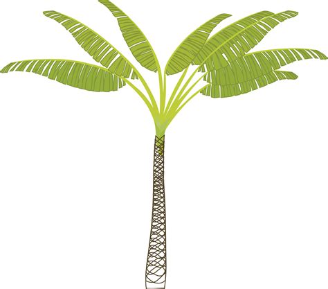 Clipart - palm-tree