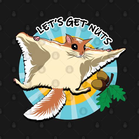 Flying squirrel gets nut - Squirrel - T-Shirt | TeePublic