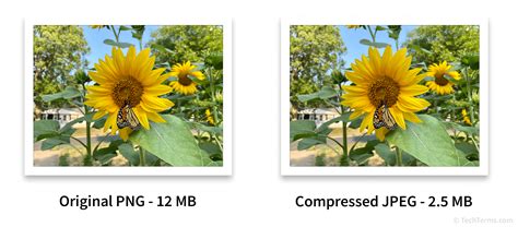 Lossy Definition - What is lossy media compression?