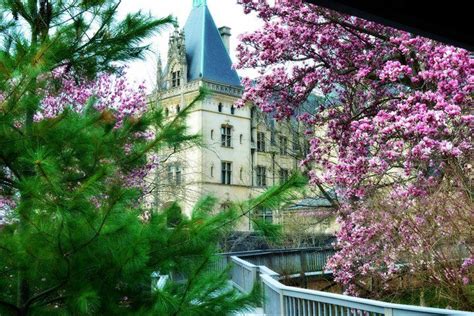 The Biltmore Estate in the Spring. ( ) | Biltmore house, Biltmore estate gardens, Biltmore estate