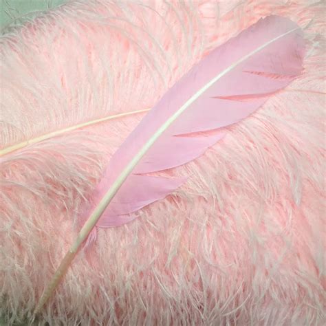 100pcs 12 14inch(30 35cm) Light Pink Turkey quill round feather turkey round feathers for ...