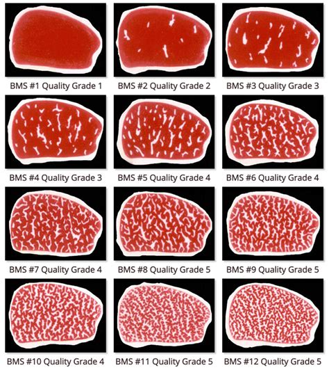 What is WAGYU Beef? | Kobe beef, Beef meat, Beef steak