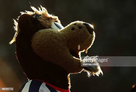 Mascot Herthino Photos and Premium High Res Pictures - Getty Images