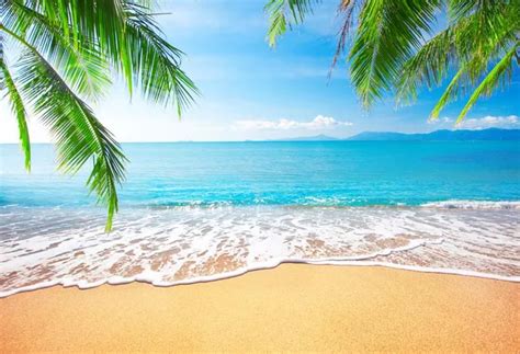 Seascape Photography Backdrops Beach Photo Background Computer Printed ...