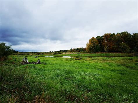 Canoe & Kayak Camping Wisconsin: Upper Wisconsin River - Miles Paddled