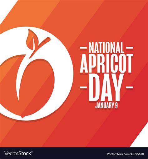 National apricot day january 9 holiday concept Vector Image