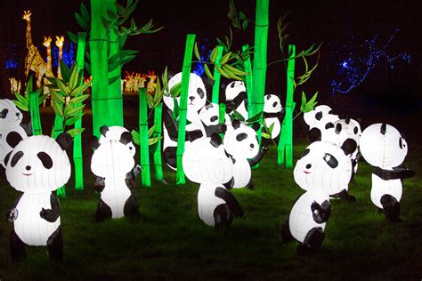 Magic Lantern Festival 2016 - Birmingham Botanical Gardens