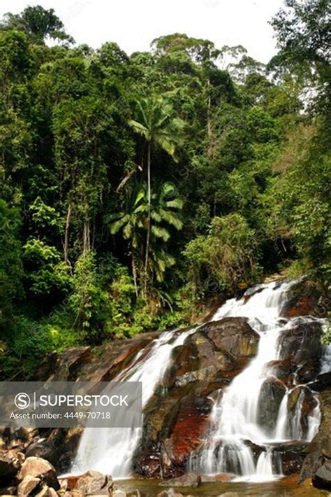 Kota Tinggi Waterfall, Malaysia - SuperStock