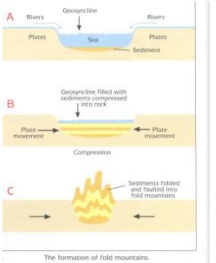 How are fold mountains formed? Explain with the help of a diagram - Home Work Help - Learn CBSE ...