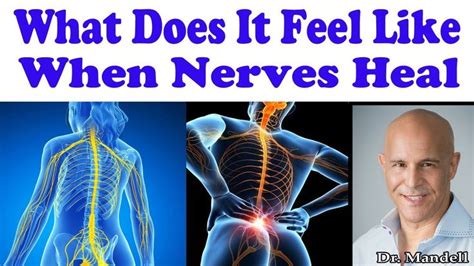 What Does It Feel Like When Nerves Are Healing in Your Body - Dr Alan ...