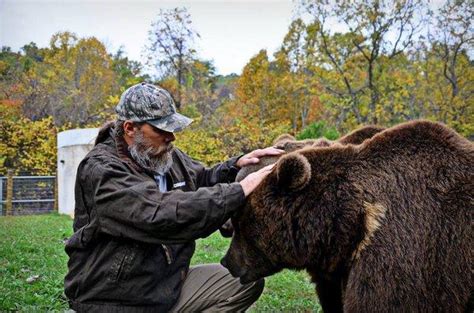 Project Grizzly: New Animal Planet Series Starts November 12th - canceled + renewed TV shows ...