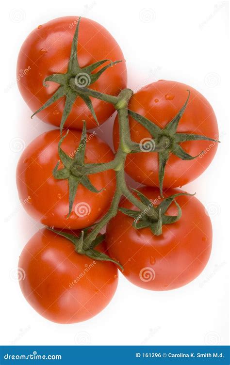 Vine Tomatoes stock photo. Image of vegetable, dinner, food - 161296