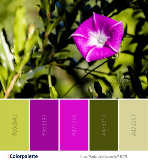 Color Palette ideas from 2123 Spring Images | iColorpalette | Color palette, Spring color palette