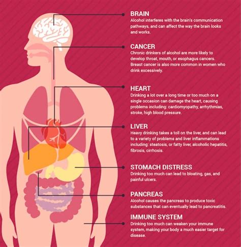 What Happens If You Drink Alcohol Every Day?