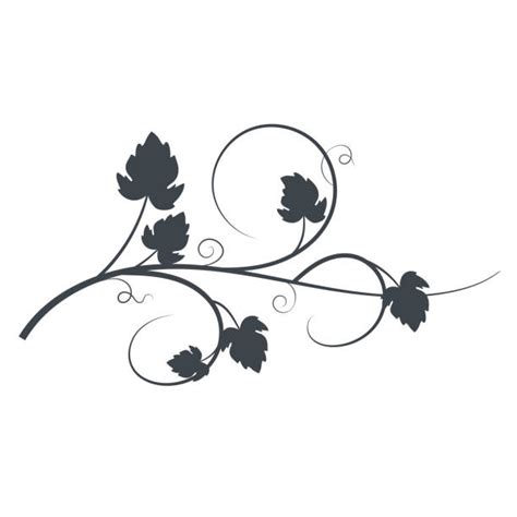 Vines Illustrations, Royalty-Free Vector Graphics & Clip Art - iStock