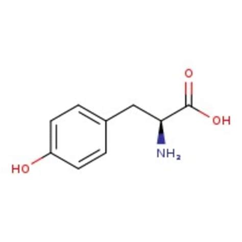 L-Tyrosine, MP Biomedicals | Fisher Scientific