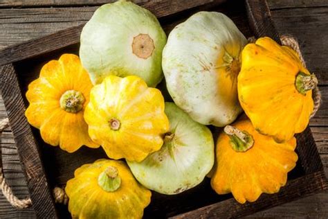 12 Types Of Squash And How To Cook Them