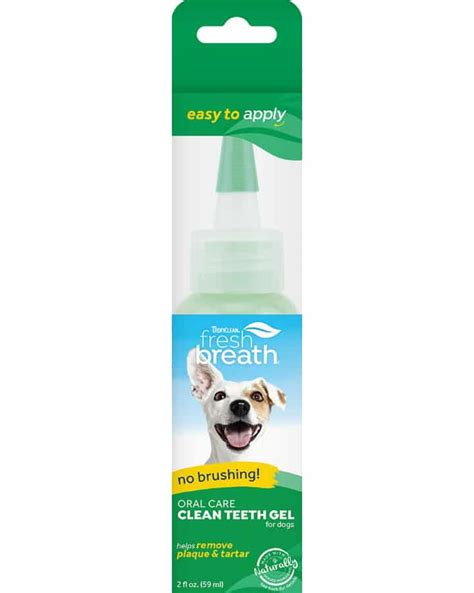 12 Dog Toothpastes for Healthy Canine Teeth & Gums