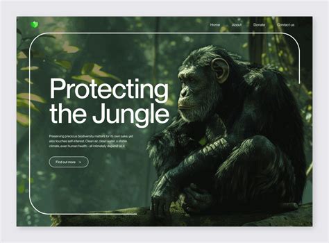 Browse thousands of Jungle images for design inspiration | Dribbble