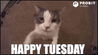 Tuesday Kisses GIFs - Find & Share on GIPHY