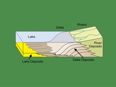 23+ River Delta Diagram - GianniKaley