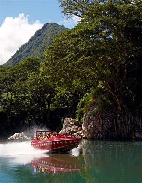 Traveller: Travel News and Stories: Sigatoka River Safaris celebrates nine years