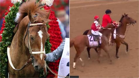 Viral video: Kentucky Derby 2022 winner Rich Strike bites horse