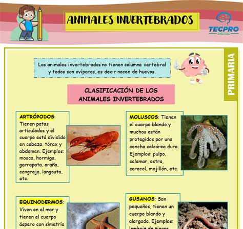 Animales invertebrados para tercero de primaria - Ciencias naturales - Tecpro Digital