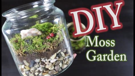 DIY Moss Terrarium: How To Make A Moss Garden - YouTube