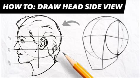 Head Proportions, Step By Step Drawing, Side View, Face Drawing, Learn ...