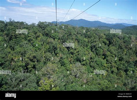 Kuranda Rainforest Skyrail, Near Kuranda, Queensland, Australia Stock Photo - Alamy