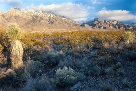 Organ Mountains National Monument These...