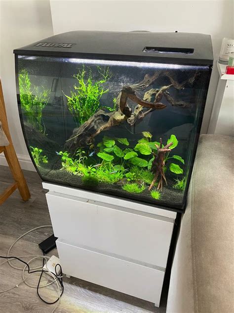 Fluval Flex 57l Tropical Fish Tank FULL SETUP | in Croxley Green, Hertfordshire | Gumtree