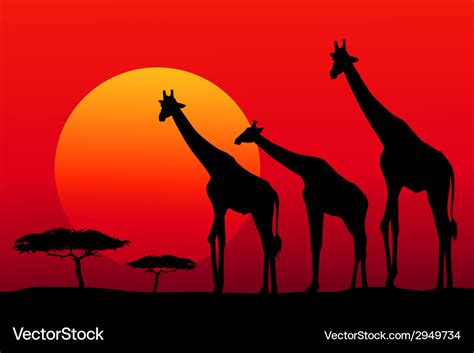 African safari at sunset Royalty Free Vector Image